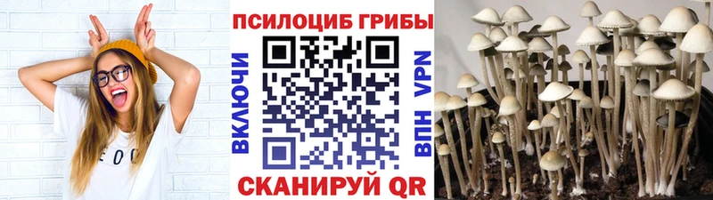 закладки  Юрга  Галлюциногенные грибы мухоморы 